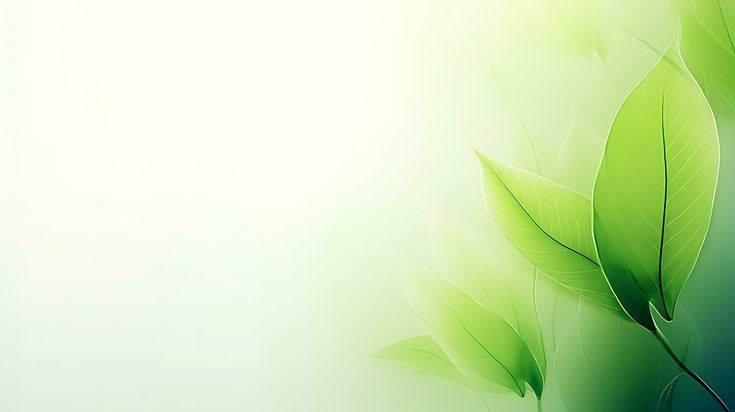 Aloe vera gel